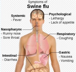 swine flu prevention