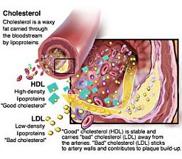 natural cholesterol lowering
